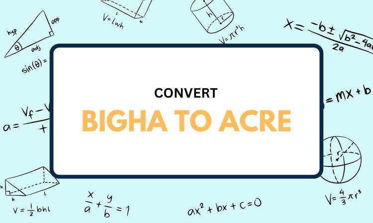 bigha to acre convvertor