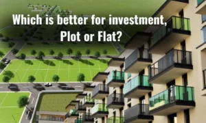 Which is better for investment - plot vs flat?