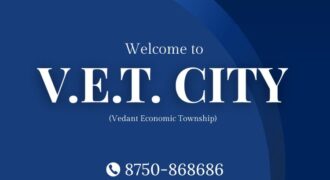 VET City Plots