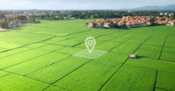 VET City Plots