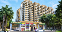 Olive Homes