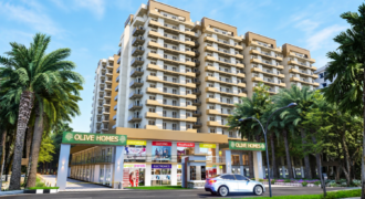 Olive Homes