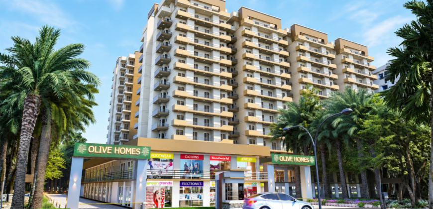 Olive Homes